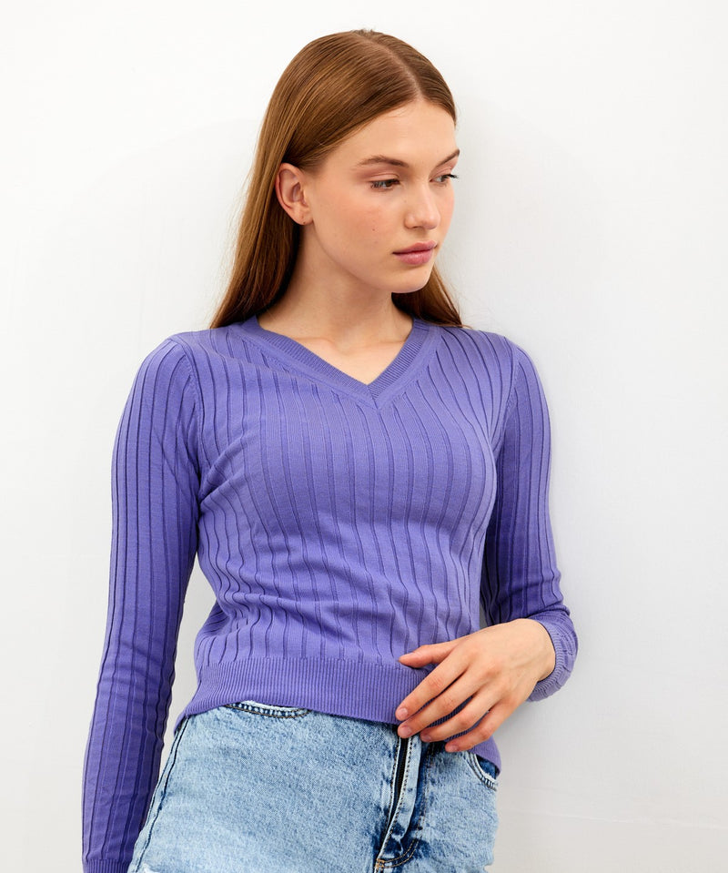 Vav Striped Crop Top Sweater Purple